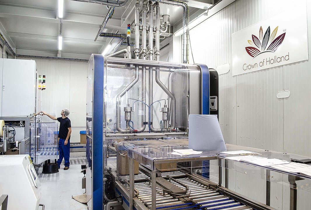 Organic Processing