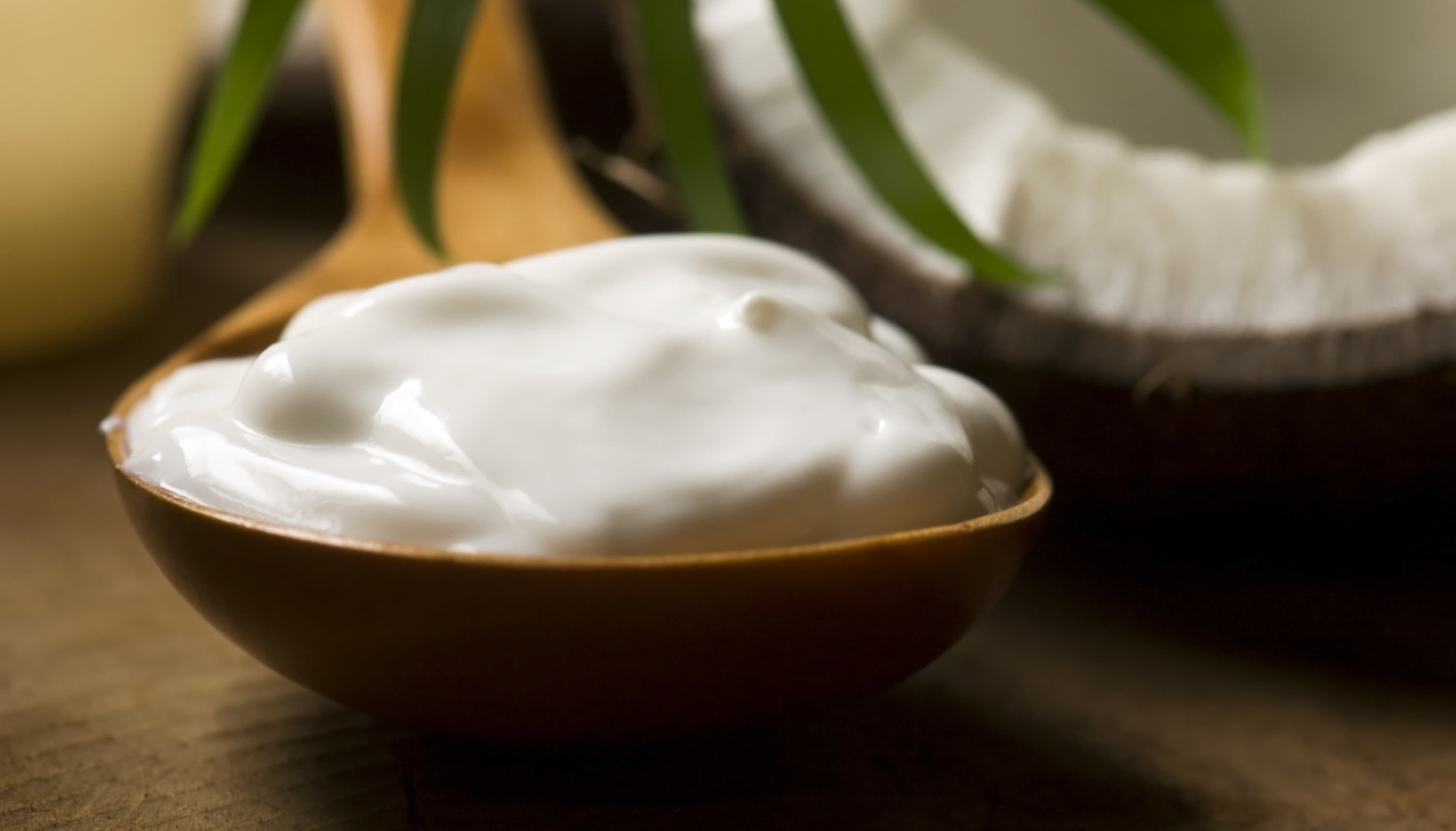 Product Spotlight – Organic Condensed Coconut Cream