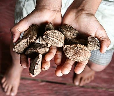 Brazil - Organic Brazil Nuts