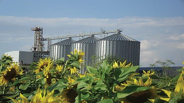 Measurable Impact at Source: Sunflower Products from Bulgaria