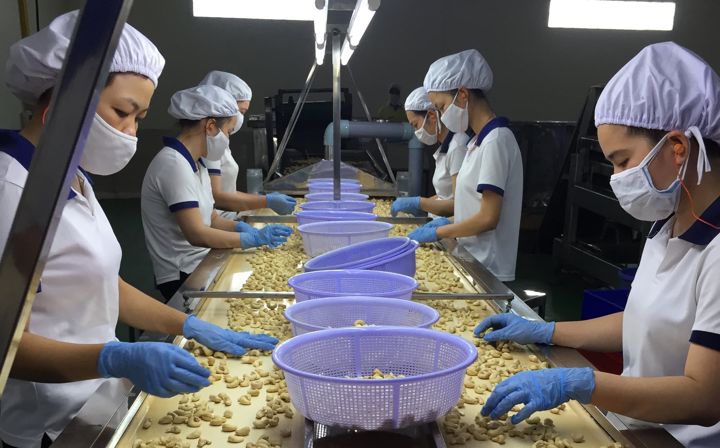 The Story Behind Our Organic Cashews