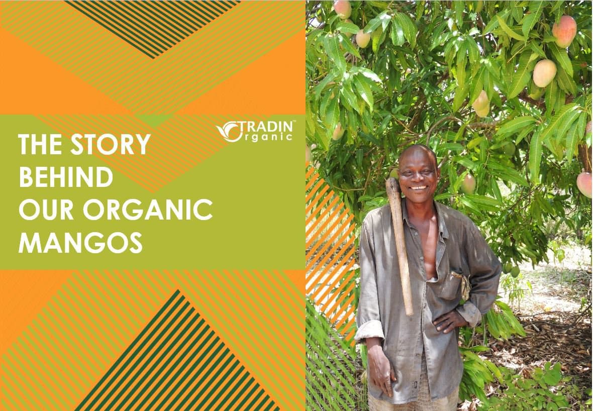 The Story Behind Our Organic Mangos