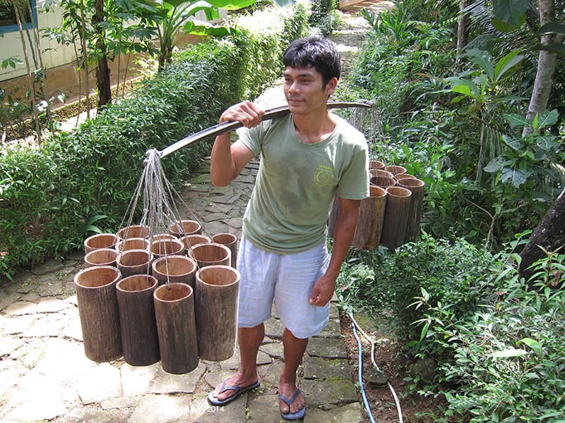 Empowering Organic Coconut Farmers in Indonesia