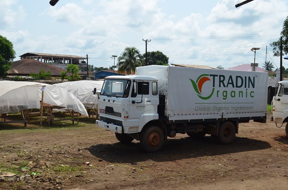 Pioneering Organic Cocoa Production in Sierra Leone