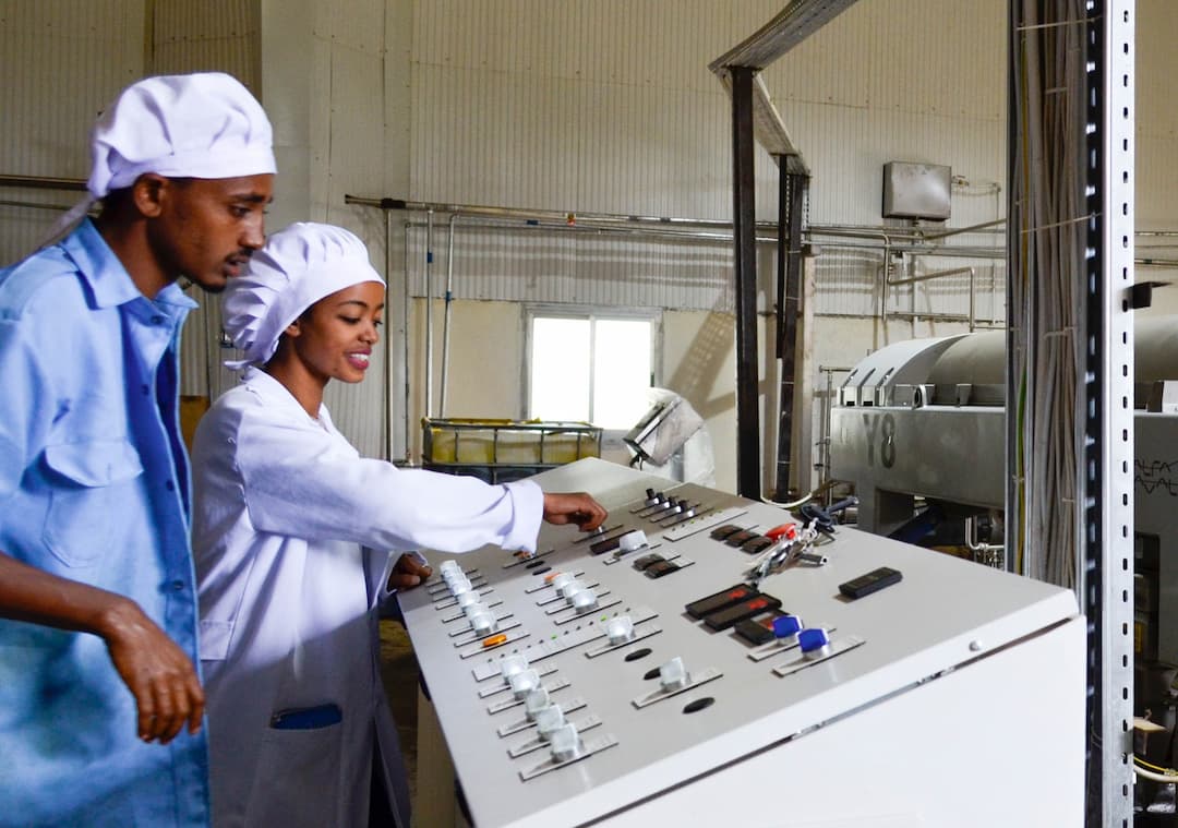 Our Processing Facilities