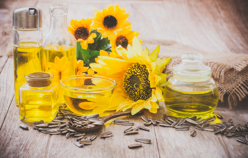 Market Report 2024 - Organic Sunflower Kernels - Ziegler Organic EN